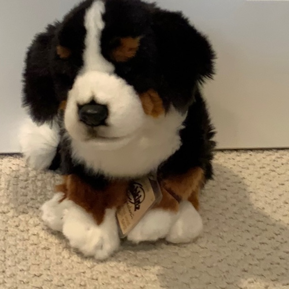 Webkinz Signature Bernese Mountain Dog